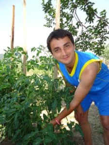 FRESH-VEGETABLES