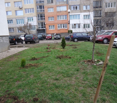 Volunteers from hp planted some trees and flowers in the garden around House of opportunity Sofia