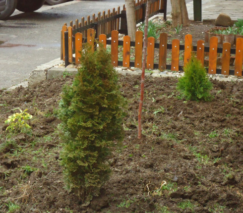 Volunteers from hp planted some trees and flowers in the garden around House of opportunity Sofia