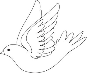 white_dove